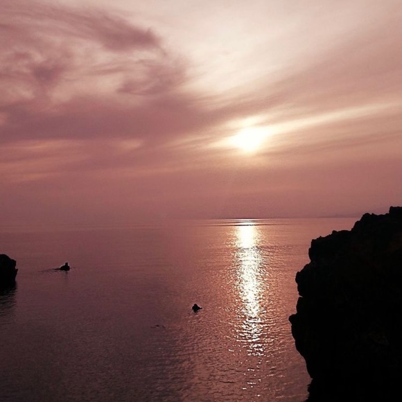 Meet your Posher, Lacey - Picture 1 of 1